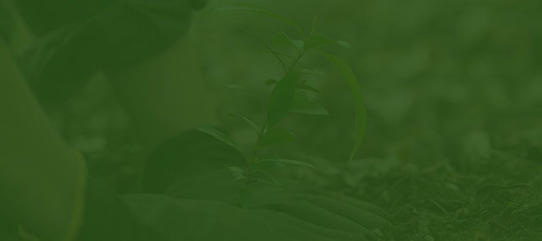 Bentang Data background